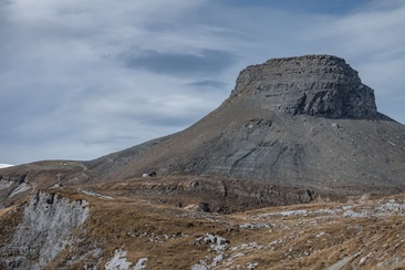 oua (637344549)