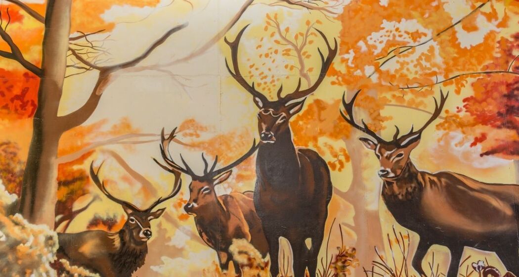 oua (637345559)