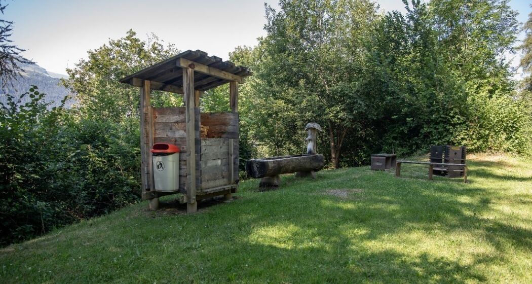 oua (637346824)