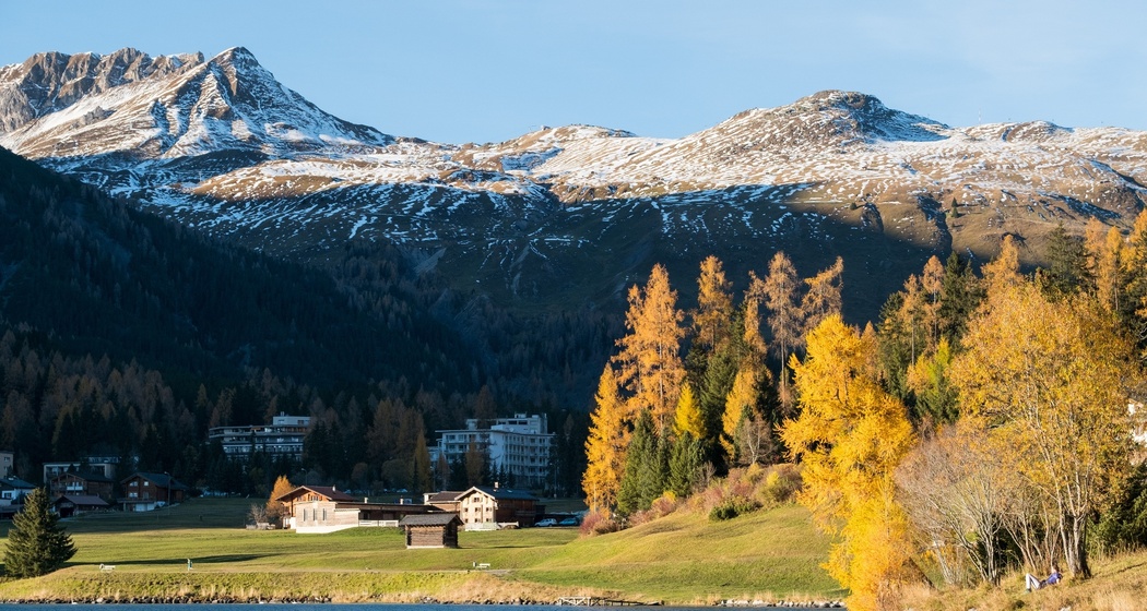 Höhwald Davos (oua_63827034_image)
