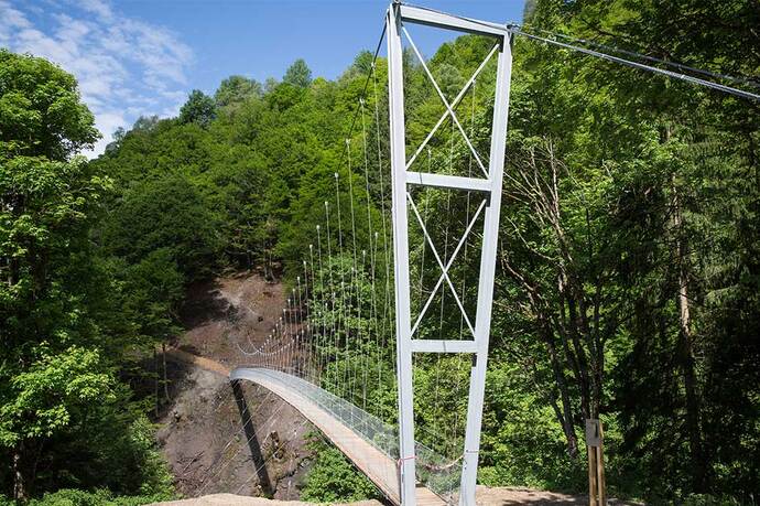 Hängebrücke Schlappintobel (oua_63827127_image)