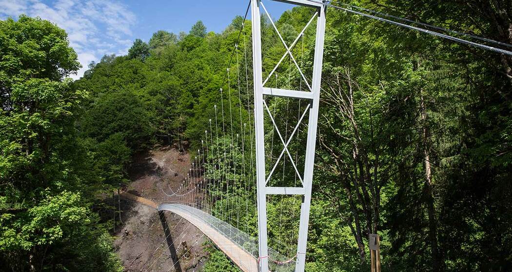 Hängebrücke Schlappintobel (oua_63827127_image)