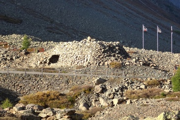 Bunker Albula