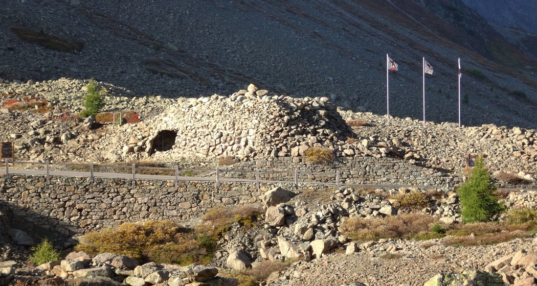 Bunker Albula