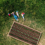 Ricola Adventure Trail Coltivazione di erbe aromatiche