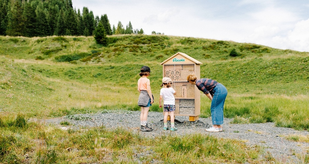 Ricola Erlebnisweg Bienenhotel