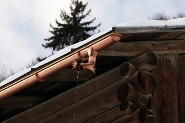 Hofbeizli Runggalina (oua_64163585_image)