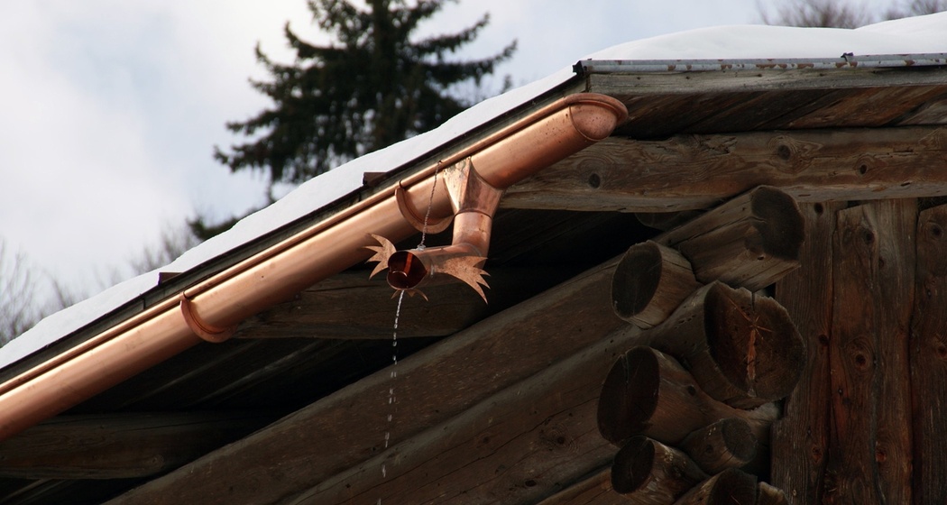 Hofbeizli Runggalina (oua_64163585_image)