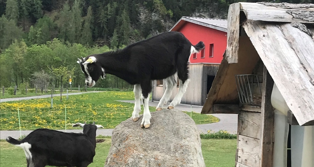 Hofladen Pauraria Puntetta (oua_64281296_image)