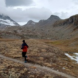 Trailrun: Pigniu - Andiast - Panixerpass - Pigniu (oua_64296748_image)