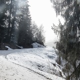 Winter hiking: Brigels - Naul (oua_64365461_image)