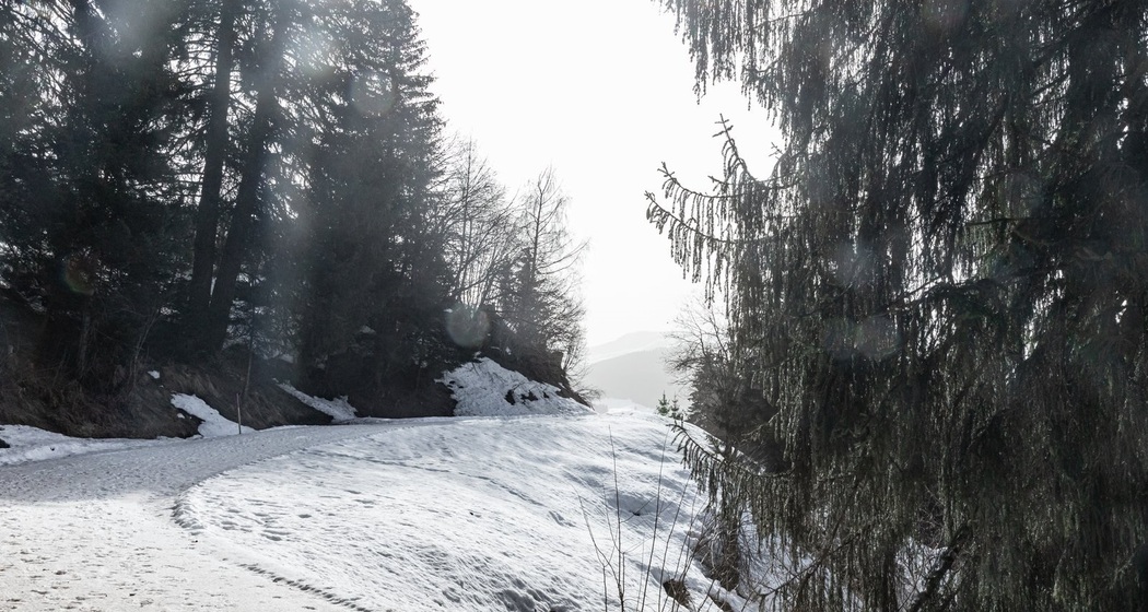 Winterwandern: Brigels - Naul (oua_64365461_image)