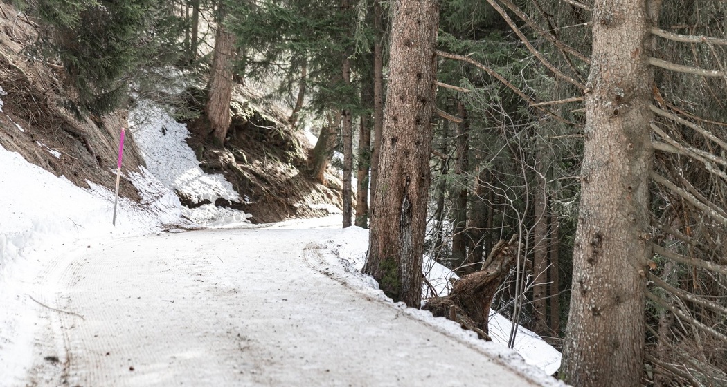 Winterwandern: Brigels - Naul (oua_64365462_image)