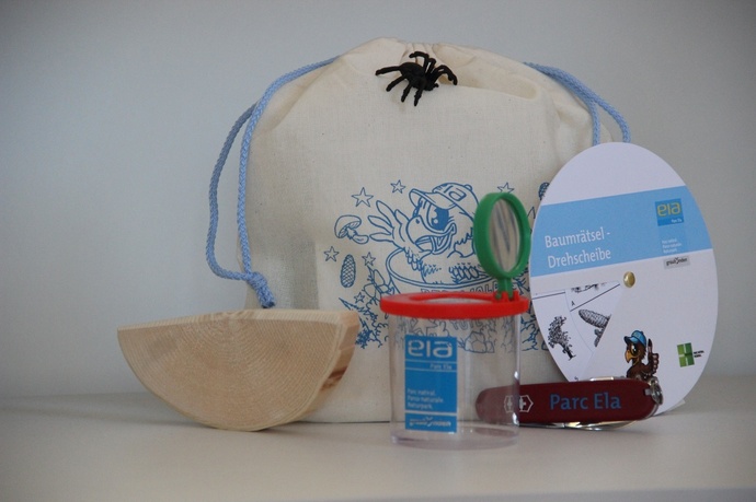 Mountain Forest Grab Bag