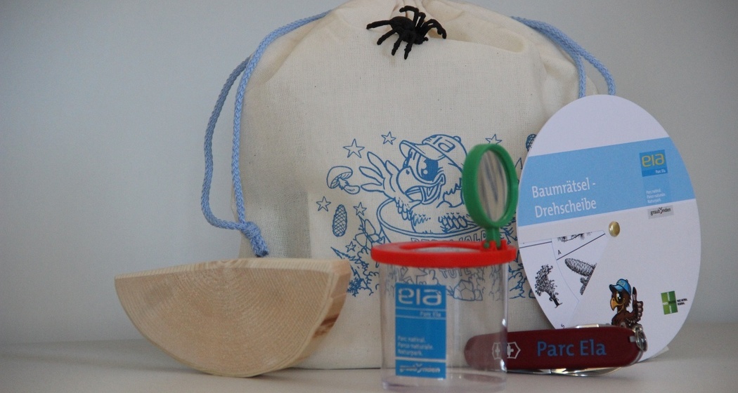 Bergwald-Wundertüte