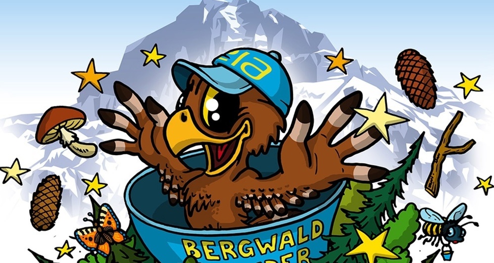 Bergwald-Wundertüte