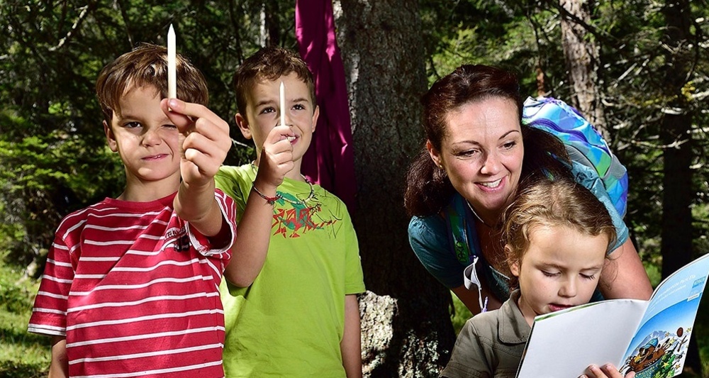 Bergwald-Wundertüte