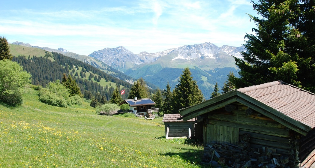 Fatschél - Mattjisch Horn - Langwies