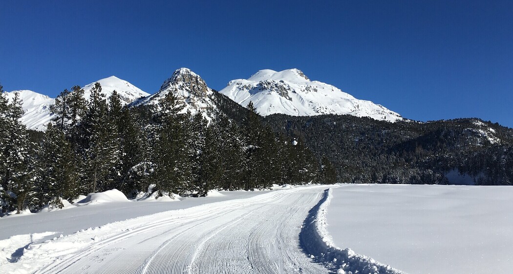 Langlaufloipe Buffalora