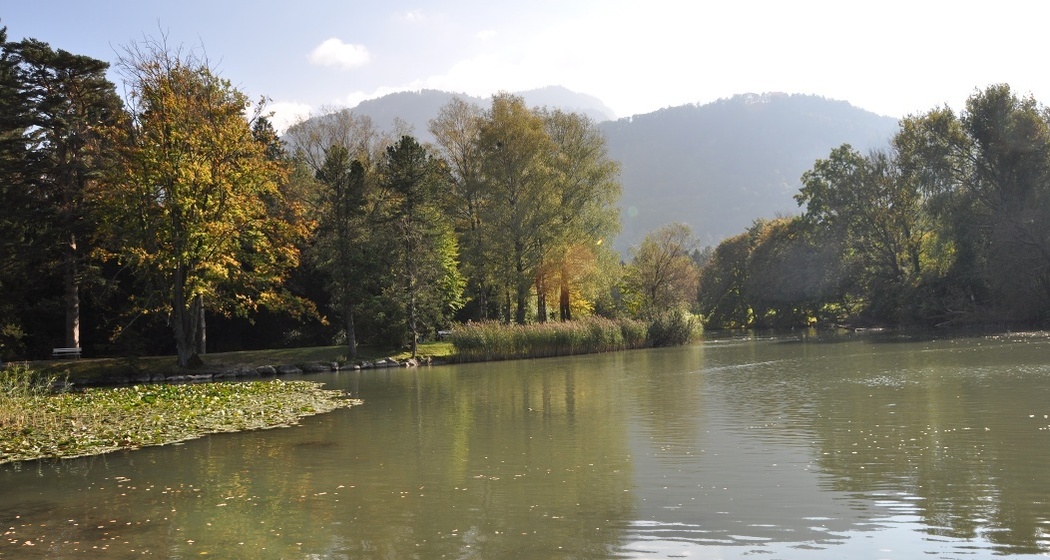 Fischen im Giessensee