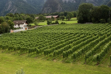 Zizers (oua_64502362_image)