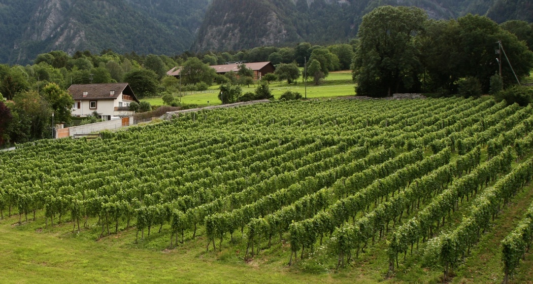 Zizers (oua_64502362_image)