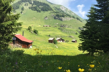 Vättis (oua_64502602_image)