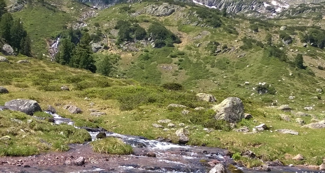 Fischen in den Bergbächen am Flumserberg