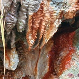 Expressions spécifiques du tuf de source de la source supérieure de Fuschna