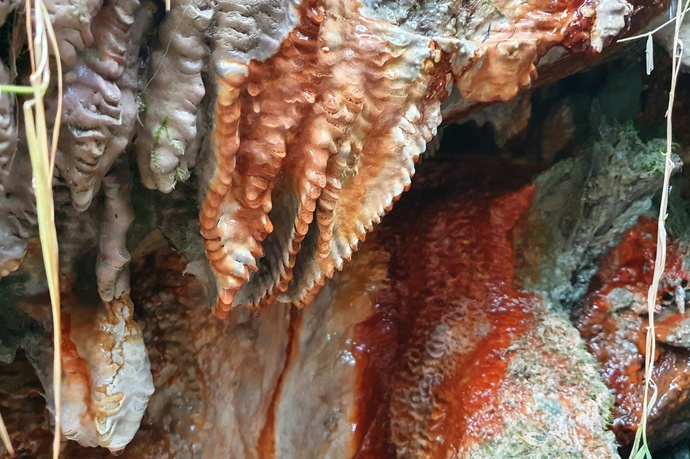 Spezielle Ausprägungen des Quelltuffs der Obere Fuschna-Quelle