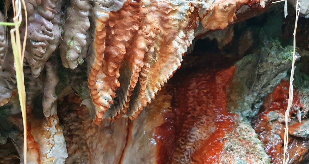 Spezielle Ausprägungen des Quelltuffs der Obere Fuschna-Quelle