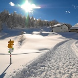 Maloja Cresta, Engadin, Graubünden, Switzerland