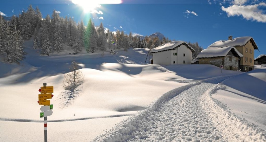 Maloja Cresta, Engadin, Graubünden, Schweiz