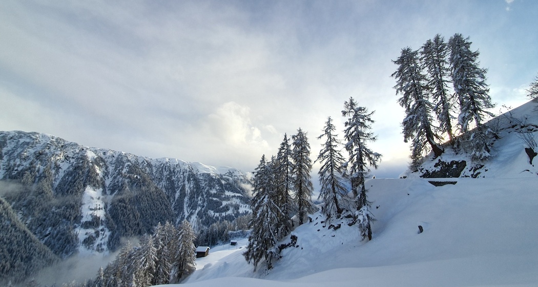 Winterwandern Waldweg Tenna (oua_64680546_image)