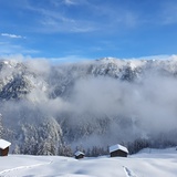 Escursione invernale sentiero boschivo Tenna (oua_64680559_image)