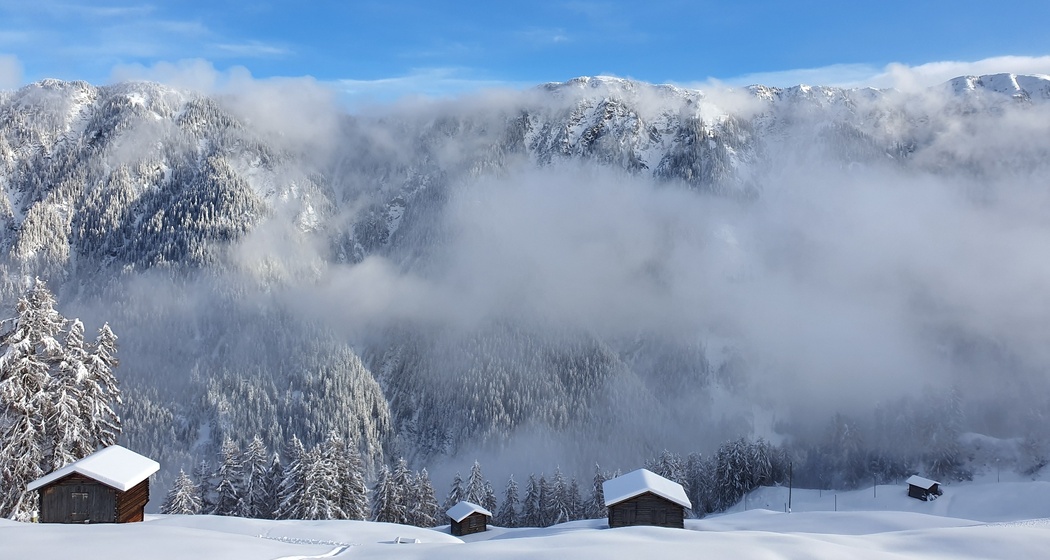 Winterwandern Waldweg Tenna (oua_64680559_image)