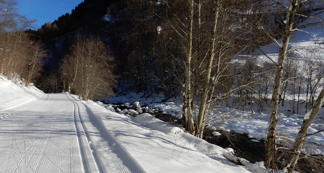 Neben der Loipe dem Rhein entlang