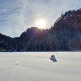 Rona Palecs (oua_64785363_image)