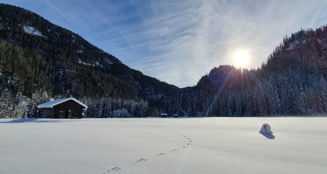 Rona Palecs (oua_64785363_image)