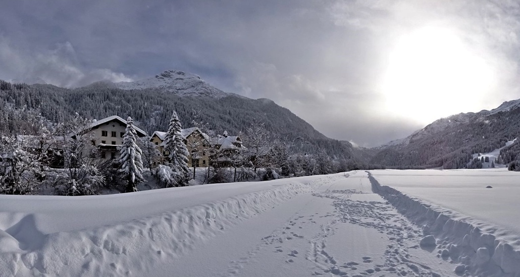 Rona Palecs (oua_64785364_image)