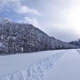 Rona Palecs (oua_64785365_image)