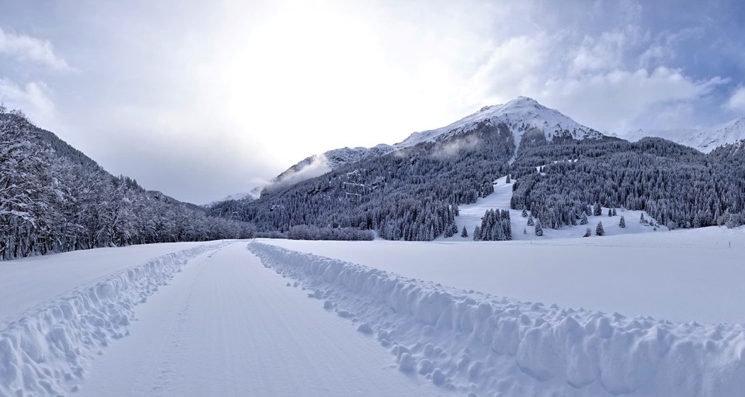 Rona Palecs (oua_64785365_image)