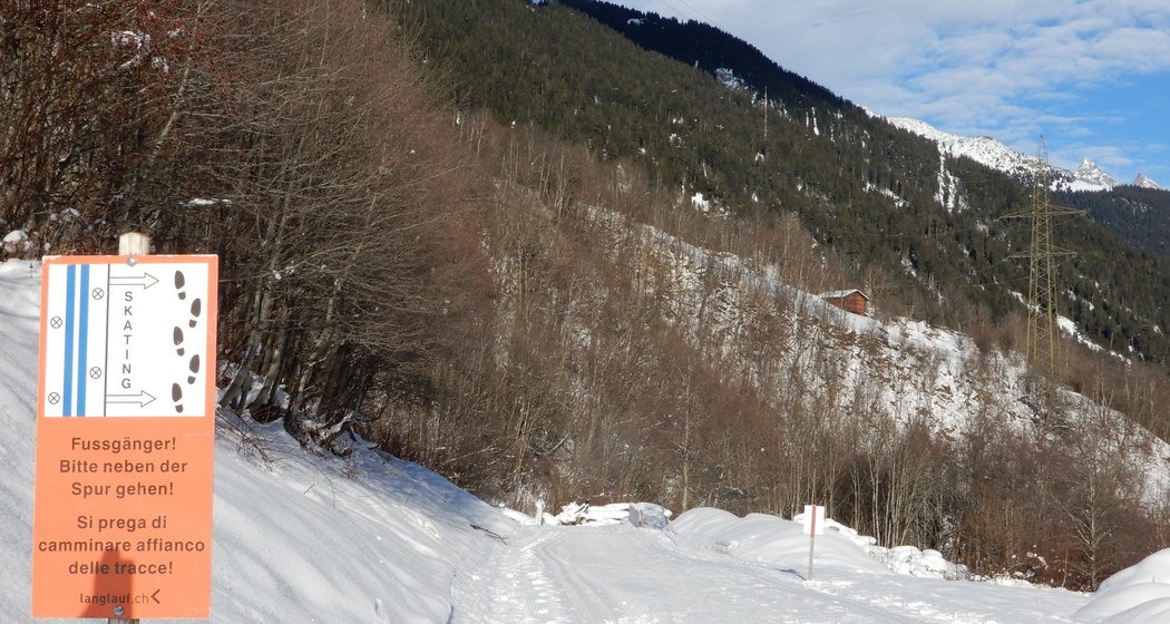 Immer schön neben der Loipe gehen