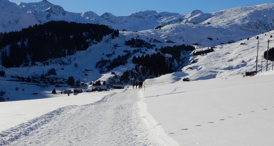 Blick aufs Skigebiet Dieni-Milez