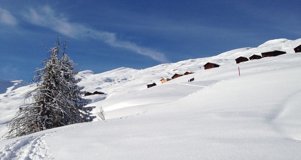 Signalisierter Schneeschuhtrail: Camana kurz (oua_64897600_image)