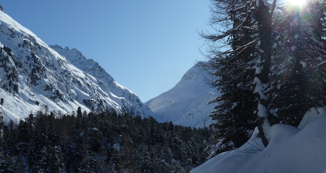 Schneeschuhtour Maloja - Cavloc - Plan Canin (oua_64917101_image)