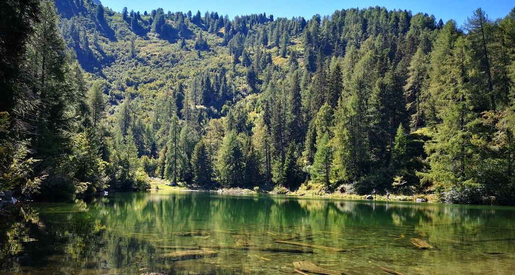 Maloja - Motta Salecina Runde - Trailtrophy Route (oua_65031166_image)