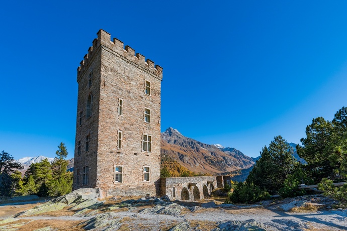 Tower Belvedere (oua_65031253_image)
