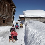 Sledging run Camana (oua_65161036_image)