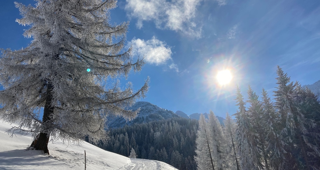 Von Brün zu den Maiensäss-Hütten Imschlacht (oua_65161531_image)